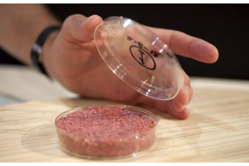 市场上有人造肉。这种人造肉味道怎么样？