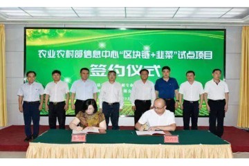助力农业信息化 区块链韭菜来了