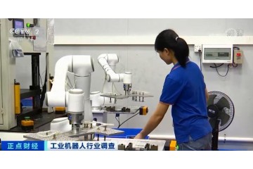 价格只要进口货的一半！这种“机器人”卖爆了
