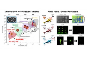 加工精度可达14nm 中国科学家用蜘蛛丝造出纳米机器人