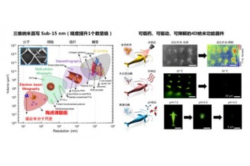 加工精度可达14nm 中国科学家用蜘蛛丝造出纳米机器人